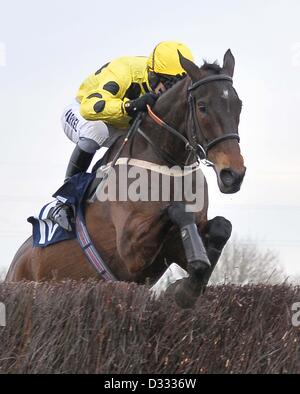 Huntingdon Race Course. Le Cambridgeshire. 7 février 2013. ARBEO gagnant monté par Sam Thomas saute la clôture dernière.La race 3. 32Red Casino novices ? Handicap Chase. Fen Chatteris journée de course.. Credit : Sport en images / Alamy Live News Banque D'Images