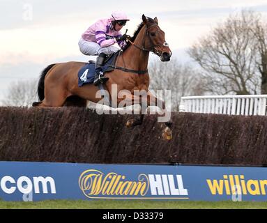 Huntingdon Race Course. Le Cambridgeshire. 7 février 2013. TRICKY gagnant filou monté par Mr S Clements saute la dernière clôture. La course 6. Foxhunter CGA (un procès aux chasseurs ? Chase). Fen Chatteris journée de course.. Credit : Sport en images / Alamy Live News Banque D'Images