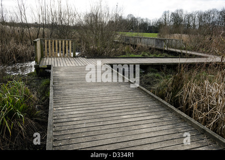 La demande de l'autre côté de la plaine d'inondation des habitats humides. Régime d'atténuation des crues de la rivière Quaggy, Sutcliffe Park, Londres, UK. Banque D'Images