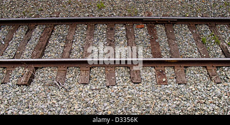 28 juin 2012 - L'Arrondissement de Denali, Alaska, Etats-Unis - l'Alaska Railroad track s'étend de Seward à Fairbanks à travers le désert de l'Alaska vierge avec un arrêt dans le Parc National Denali et préserver. (Crédit Image : © Arnold Drapkin/ZUMAPRESS.com) Banque D'Images