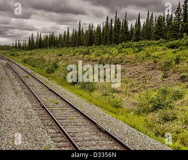 28 juin 2012 - L'Arrondissement de Denali, Alaska, Etats-Unis - l'Alaska Railroad track s'étend de Seward à Fairbanks à travers le désert de l'Alaska vierge avec un arrêt dans le Parc National Denali et préserver. (Crédit Image : © Arnold Drapkin/ZUMAPRESS.com) Banque D'Images