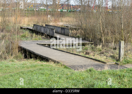 La demande de l'autre côté de la structure de l'habitat des terres humides de plaine d'inondation. Régime d'atténuation des crues de la rivière Quaggy, Sutcliffe Park, Londres, UK. Banque D'Images