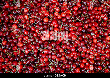 La cerise douce affichée à marché local. Selcuk, Izmir, Turquie province. Banque D'Images