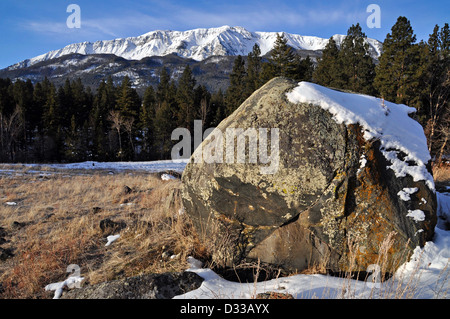 Rocher sur une moraine en dessous de la montagnes Wallowa, Oregon. Banque D'Images