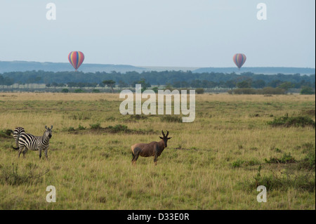 Vol en montgolfière sur le Masai Mara National Reserve, Kenya Banque D'Images