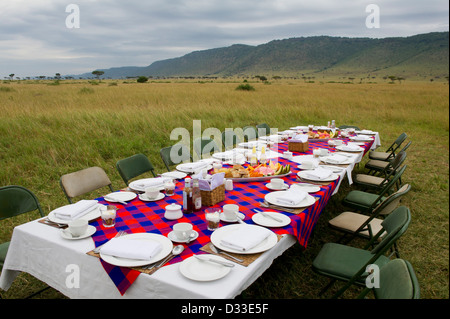 Petit-déjeuner Bush, Maasai Mara National Reserve, Kenya Banque D'Images