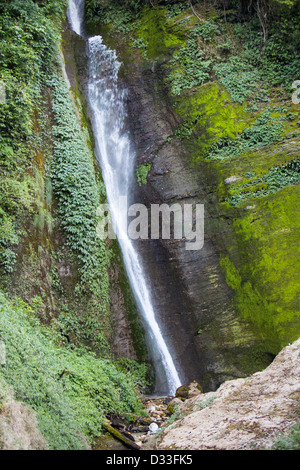 Une petite cascade dans la forêt de rhododendrons dans le sanctuaire de l'Annapurna Himalaya népalais,. Banque D'Images