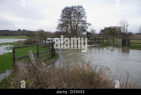 L'inondation sur la rivière Deben à Naunton Hall weir, Sewen, Suffolk, en Angleterre à la fin de décembre 2012. Banque D'Images