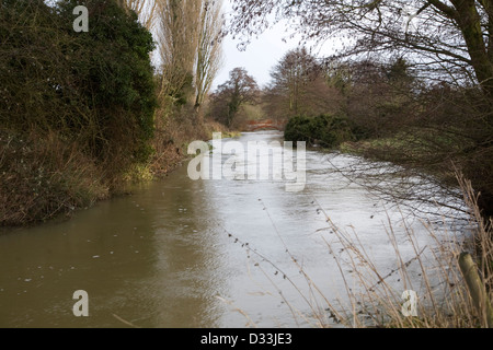 Débordement de la rivière Deben sous conditions à Ufford, Suffolk, Angleterre Banque D'Images