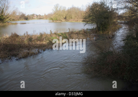 River Deben dans la scène avec levee sur les bords de la rivière et de l'eau sur une plaine inondable, Ufford, Suffolk, Angleterre fin décembre 2012. Banque D'Images