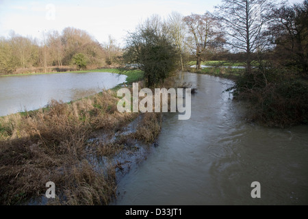 River Deben dans la scène avec levee sur les bords de la rivière et de l'eau sur une plaine inondable, Ufford, Suffolk, Angleterre fin décembre2012. Banque D'Images