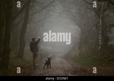 Man throwing stick de Labrador retriever dog sur jour brumeux Banque D'Images