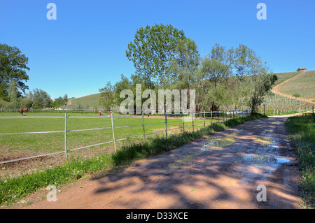 Chemin de terre étroit avec les flaques d'eau le long de l'enclos pour chevaux sous le ciel bleu au printemps en Piémont, Italie du Nord. Banque D'Images