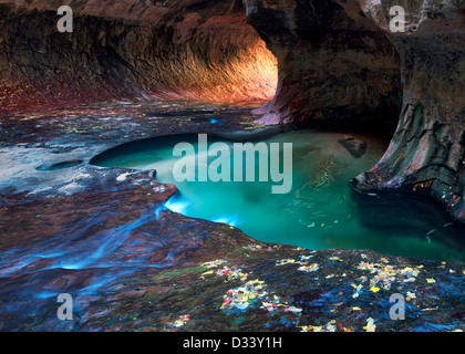 Le métro. Fourche gauche Ruisseau du Nord. Zion National Park, Utah. Banque D'Images