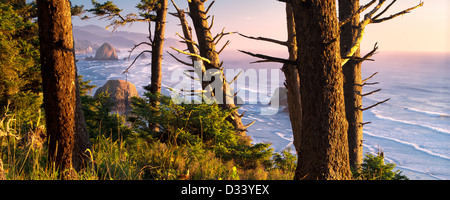 Négliger de Cannon Beach avec Haystack Rock de parc d'état d'Ecola, Oregon Banque D'Images