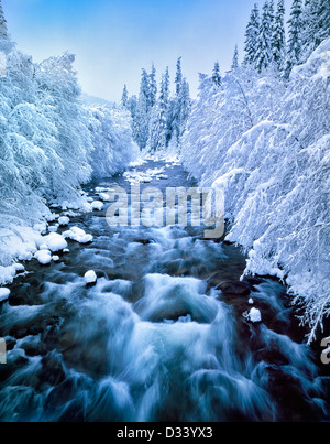 Neige sur North Santiam River, Oregon Banque D'Images