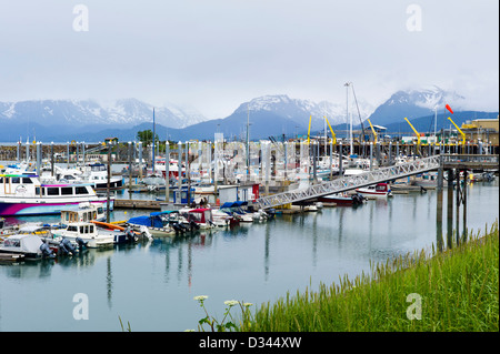 Location de bateaux de pêche commerciale et dans le port, Homer, Alaska, USA Banque D'Images