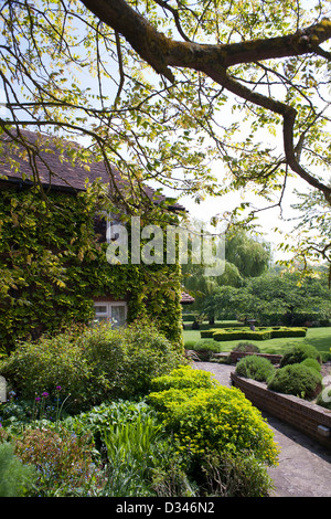 Grumes de mur entre les frontières herbacées. Maison couverte de du Parthenocissus tricuspidata. Banque D'Images