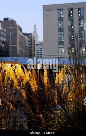 Fondée en 1999 par des résidents la ligne haute est un parc public construit sur un lieu historique du transport ferroviaire au-dessus de Manhattan, côté ouest. Banque D'Images