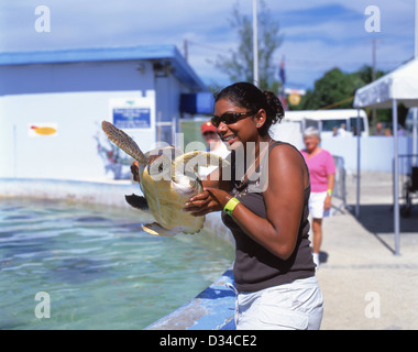 Femme tenant une tortue de mer verte à Cayman Turtle Farm, West Bay, les îles Caïmans, Antilles, Caraïbes Banque D'Images