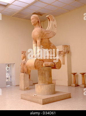 Le grec ancien sphinx (570BC) au Musée archéologique de Delphes, Delphi, le Mont Parnasse, Région du Centre de la Grèce, Grèce Banque D'Images