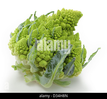 Chou-fleur Romanesco sur un fond blanc, avec une ombre légère. Connu dans certains endroits comme le brocoli ou choux romanescu Banque D'Images