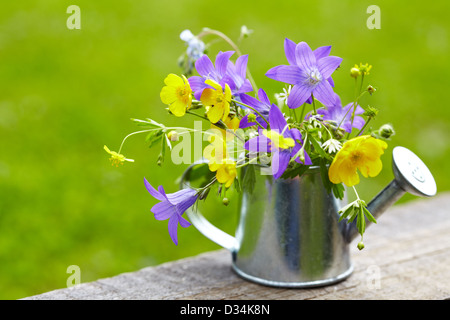 Fleurs sauvages d'été à l'arrosoir en métal Banque D'Images