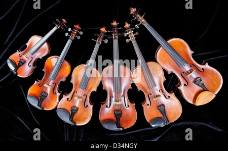 Famille de différentes tailles de violons sur velours noir Banque D'Images