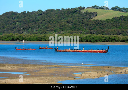 Moari waka sur la rivière Waitangi Waitangi Day lors de célébrations Banque D'Images