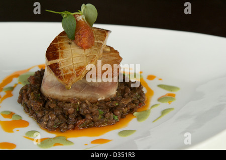 Thon poêlé avec foie gras poêlé, chutney de tomates et lentilles du Puy aux épices servi sur une plaque blanche. Banque D'Images