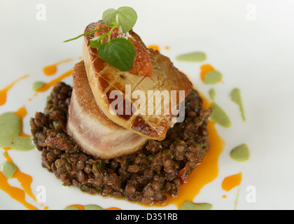 Thon poêlé avec foie gras poêlé, chutney de tomates et lentilles du Puy aux épices servi sur une plaque blanche. Banque D'Images