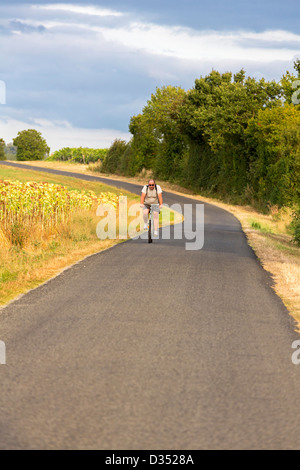 Les cyclistes sur route de campagne, Charente Maritime, France Banque D'Images