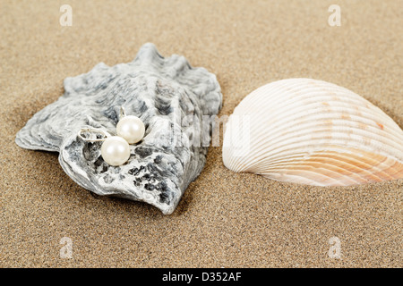 Pearl Earrings et deux obus sur fond de sable Banque D'Images