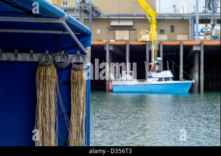 Bateaux de pêche commerciale de décharger leurs prises de poissons frais à une usine de transformation, Homer, Alaska, USA Banque D'Images