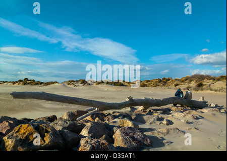 L'Espiguette, plage de Camargue,Languedoc Roussillon,France Banque D'Images