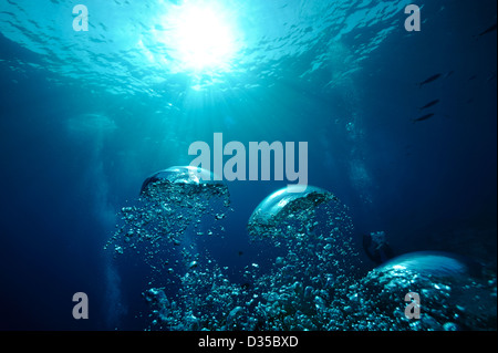 Vue sous-marine de bulles à la surface, les bulles des plongeurs Banque D'Images