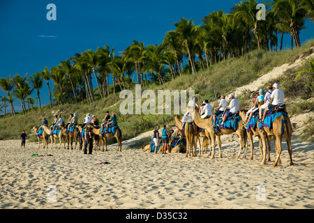 Un tour de chameau sur la plage Cable -- soit au lever ou au coucher du soleil -- est une tradition d'accueil à Broome, Australie occidentale. Banque D'Images