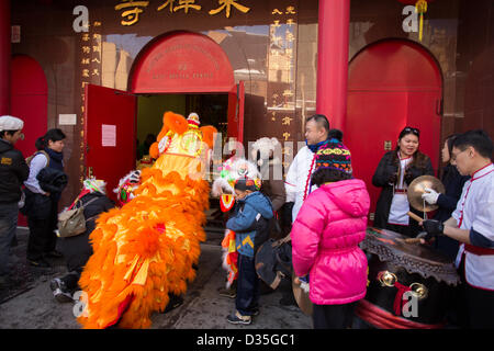 La ville de New York, États-Unis, 10 février 2013. Un lion entre dans l'Association bouddhiste de l'Est à l'Est du Temple Dhyana sur Division Street, apportant la bonne chance avec elle, comme la communauté chinoise de New York célèbre le Nouvel An lunaire avec un pétard et un festival culturel. Banque D'Images