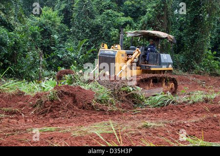 CONGO, le 27 septembre 2012 : un conducteur de bulldozer chinois société Sinohydro coupe un chemin à travers la forêt pour une nouvelle route bitumée. Banque D'Images