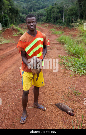 CONGO, le 27 septembre 2012 : un manoeuvre pour la construction d'une nouvelle grande Sinohydro route bitumée à travers la forêt vierge avec deux animaux il a juste tué pour la viande de brousse. Banque D'Images