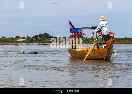 Visiteurs en petit bateau sur le fleuve Mékong en attente pour voir les dauphins de l'Irrawaddy, l'eau douce rare. Banque D'Images