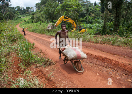 CONGO, le 27 septembre 2012 : les ingénieurs routiers chinois à partir de la société chinoise Sinohydro sont la construction d'une nouvelle grande route bitumée à Sembe à travers les forêts de la Tridom. Cette route aura un impact désastreux sur la forêt et sa faune. Banque D'Images