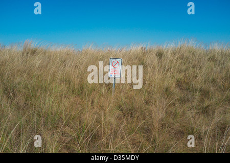 Ne pas marcher sur les dunes signe sur une dune sur la plage Banque D'Images