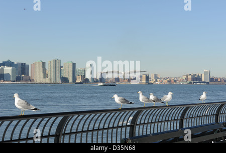 Une mouette qui viennent pour un atterrissage sur l'esplanade avec Battery Park City Jersey City et de la rivière Hudson dans l'arrière-plan. Banque D'Images