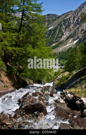 Creek qui coule à travers forêt en Parc National du Grand Paradis, entre le Piémont et la vallée d'Aoste, Graian Alps, Italie Banque D'Images