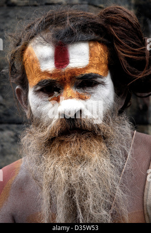 Temple de Pashupatinath à Katmandou Banque D'Images