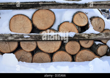 Chappaqua, New York, USA. 10 février 2013. Une tempête de neige pendant le week-end a déversé jusqu'à deux pieds de neige au réseau express régional dans le comté de Westchester, New York, USA. Un journal de billots de bois entassés dans la neige à l'extérieur. Photo panoramique fait une belle scène de Noël ou des vacances. Credit : Marianne A. Campolongo / Alamy Live News Banque D'Images