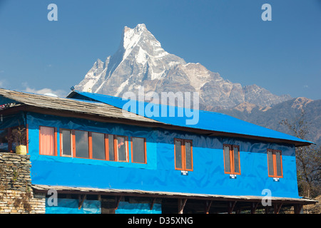 Une maison de thé lodge au camp de base de l'Annapurna Himalaya, Népal, regardant vers la queue de poisson en Crête. Banque D'Images