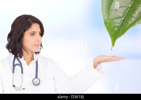 Médecin à goutte de rosée tombant de leaf Banque D'Images