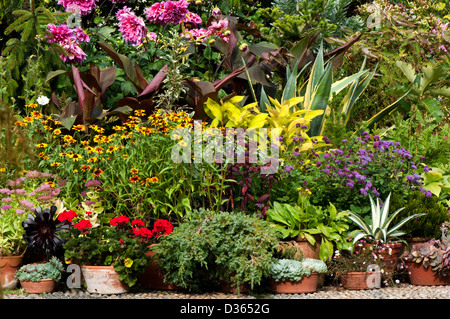 Un groupe de plantes en pot de différentes variétés affichée sur le terrain. Banque D'Images